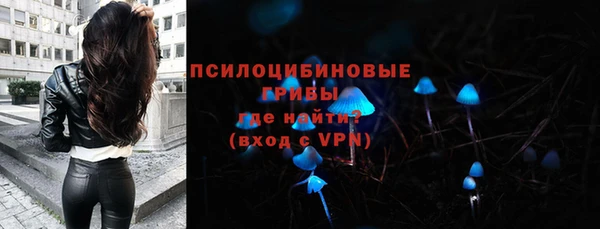 шишки Арсеньев