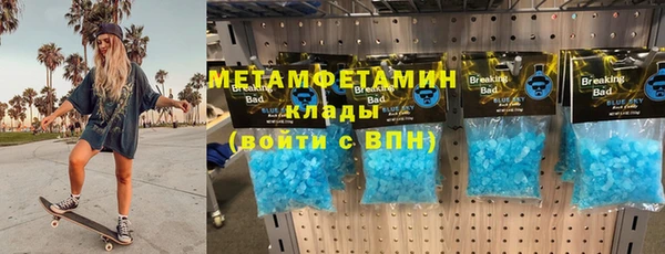 шишки Арсеньев