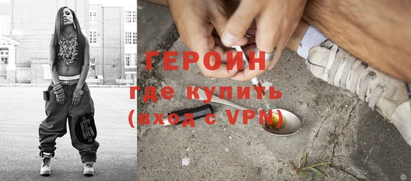 шишки Арсеньев