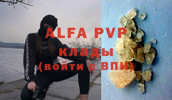 шишки Арсеньев
