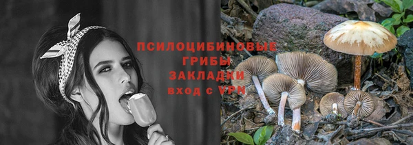 jwh Аркадак