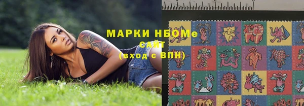 шишки Арсеньев