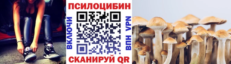 Галлюциногенные грибы Cubensis  Тетюши 